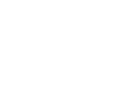 Ford — Groupe Steveny